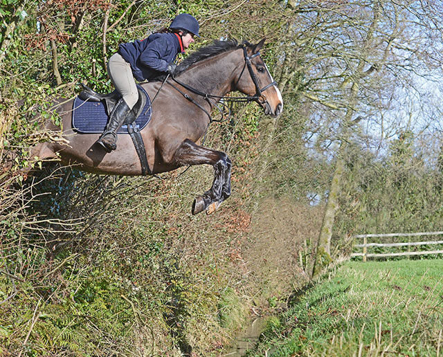 Hyde Equine Training & Livery Cross Country Hunting