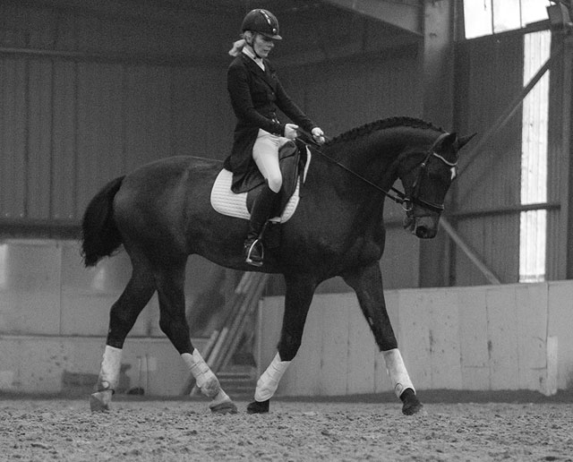 Hyde Equine Training & Livery Dressage